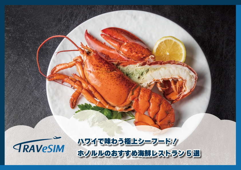 TRAVeSIM - 海外旅行でお得なeSIMならトラべシム